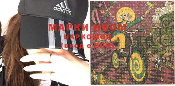 ПСИЛОЦИБИНОВЫЕ ГРИБЫ Баксан