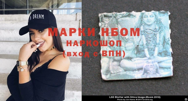 ПСИЛОЦИБИНОВЫЕ ГРИБЫ Баксан