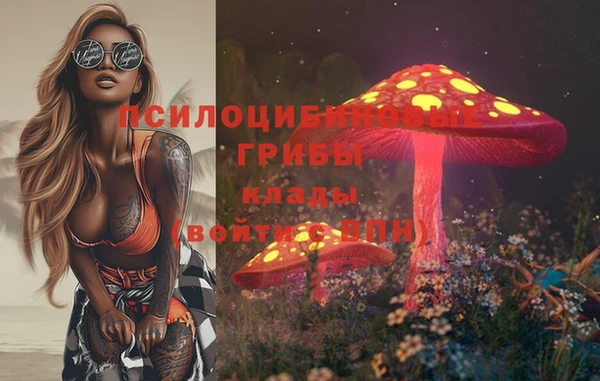 прущие крисы Балахна