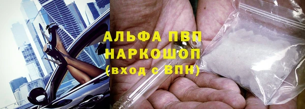 индика Покровск